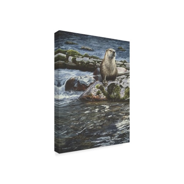 Ron Parker 'Riverside Pause River Otter' Canvas Art,35x47